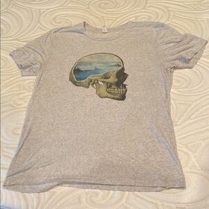 Bella Canvas Gray Skull Graphic Tee